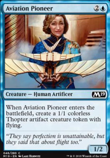 Hovedbilde Aviation Pioneer