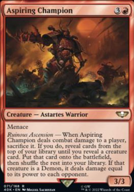 Hovedbilde Aspiring Champion