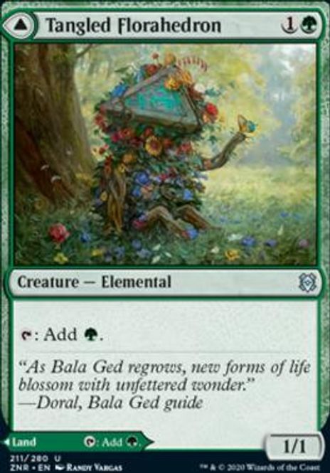 Hovedbilde Tangled Florahedron