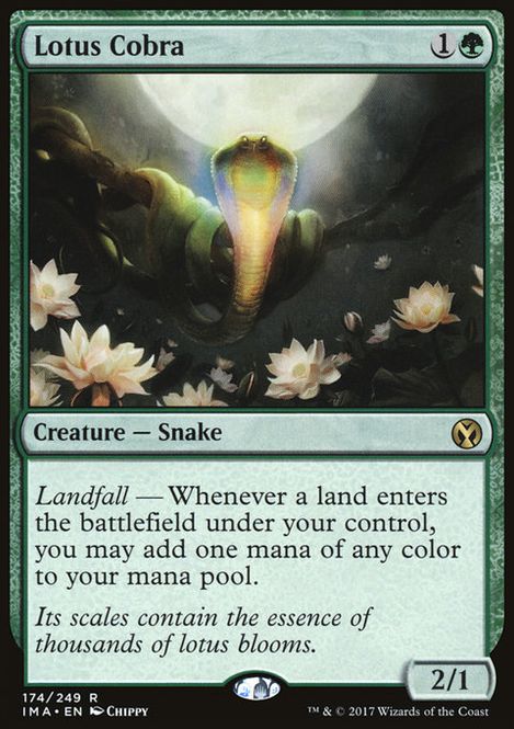 Hovedbilde Lotus Cobra