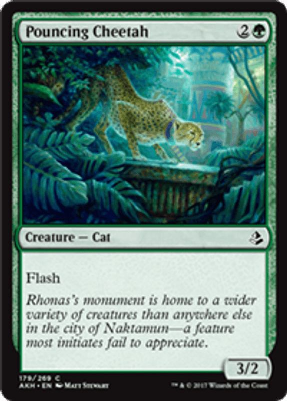 Pouncing Cheetah