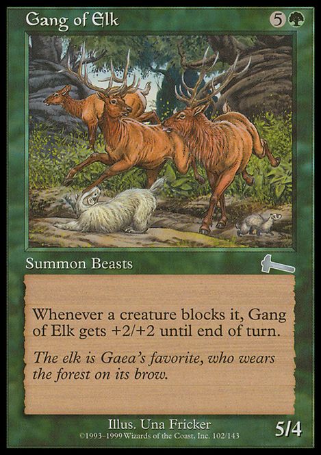 Hovedbilde Gang of Elk
