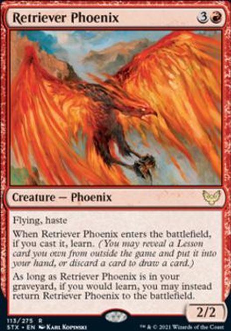 Hovedbilde Retriever Phoenix