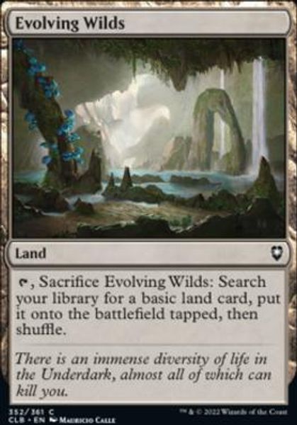 Hovedbilde Evolving Wilds (foil)