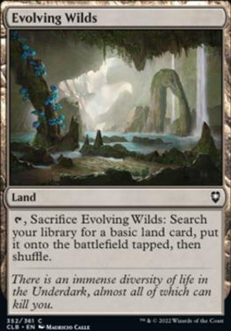 Hovedbilde Evolving Wilds