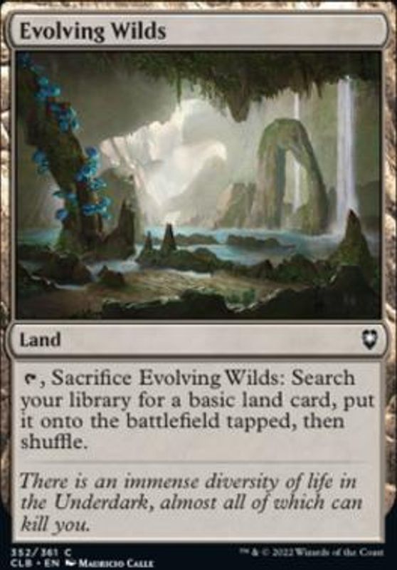 Evolving Wilds