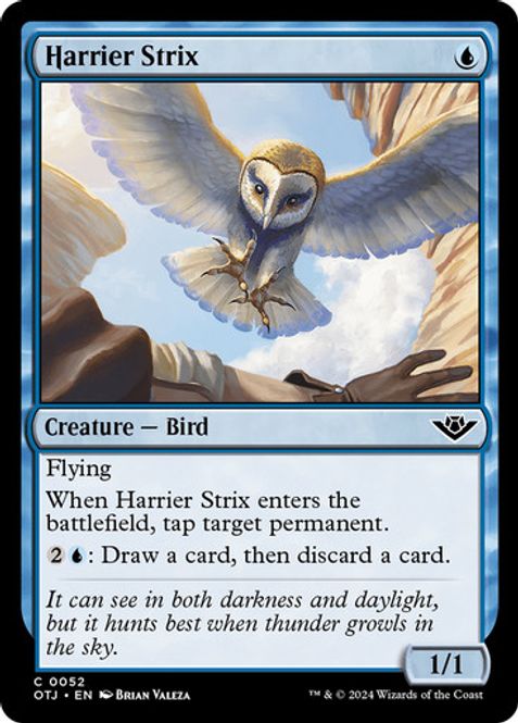 Hovedbilde Harrier Strix