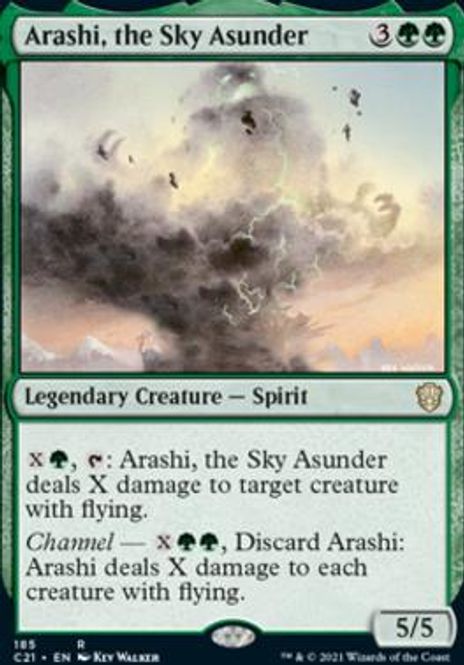 Hovedbilde Arashi, the Sky Asunder