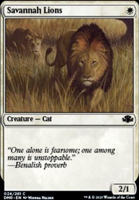 Hovedbilde Savannah Lions