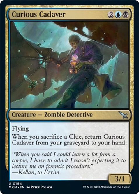 Hovedbilde Curious Cadaver