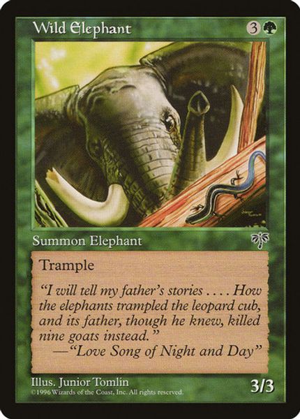 Hovedbilde Wild Elephant