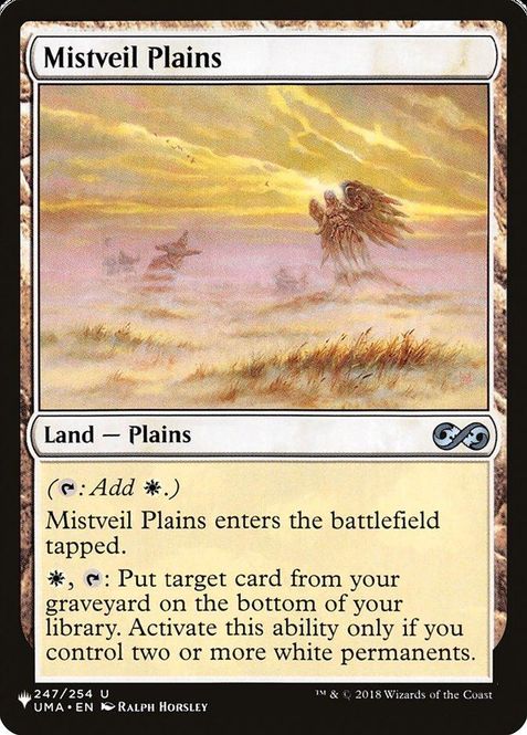 Hovedbilde Mistveil Plains