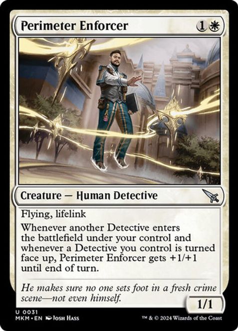 Hovedbilde Perimeter Enforcer