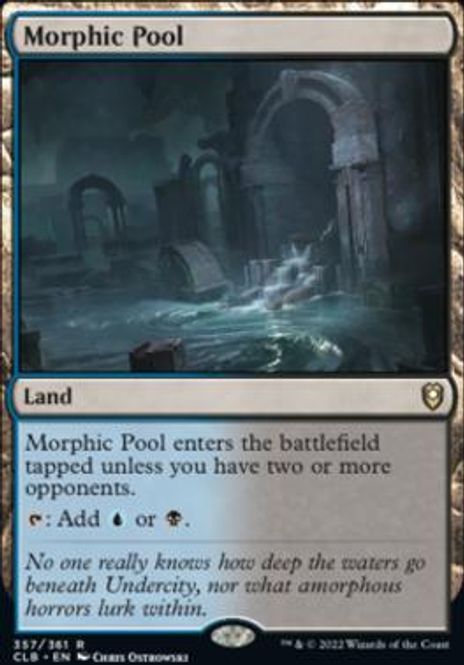 Hovedbilde Morphic Pool