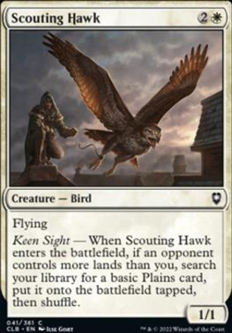 Hovedbilde Scouting Hawk