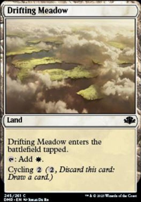 Hovedbilde Drifting Meadow