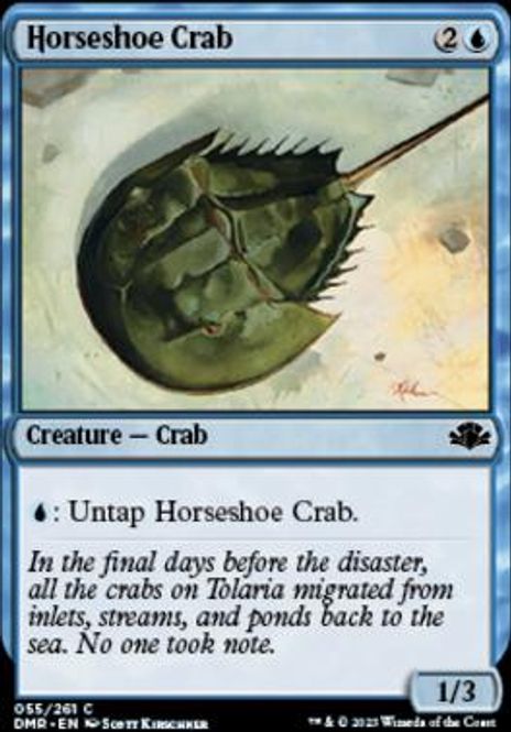 Hovedbilde Horseshoe Crab