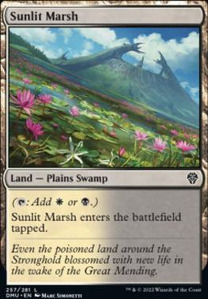 Hovedbilde Sunlit Marsh