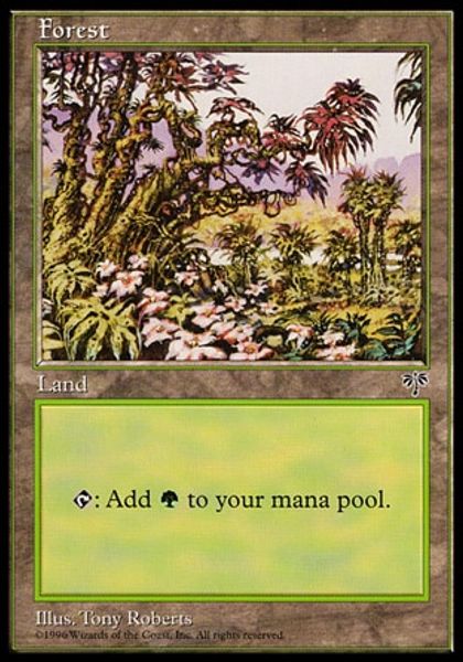 Hovedbilde Forest (B)