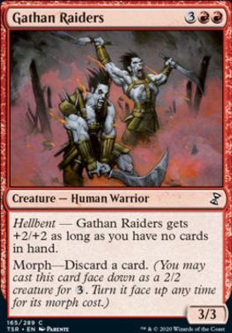 Hovedbilde Gathan Raiders