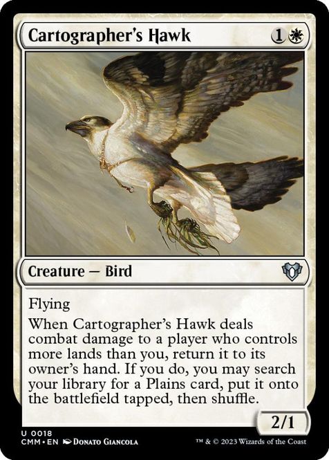 Hovedbilde Cartographer's Hawk