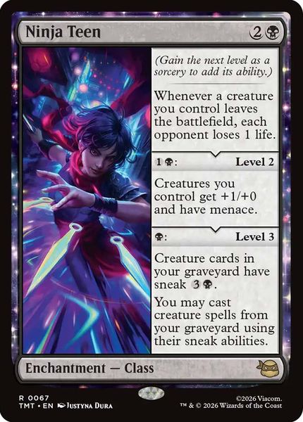 Hovedbilde Ninja Teen