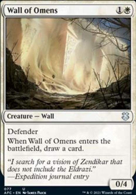 Hovedbilde Wall of Omens