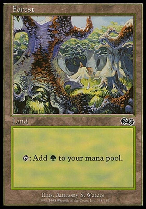 Forest (348 B)