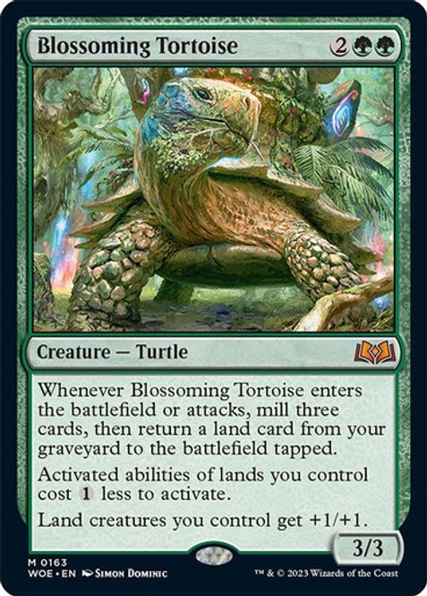 Hovedbilde Blossoming Tortoise