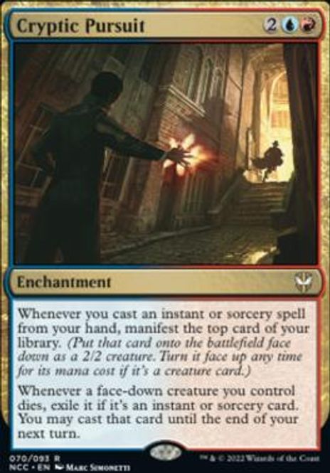 Hovedbilde Cryptic Pursuit