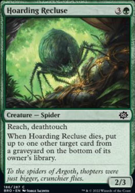 Hovedbilde Hoarding Recluse