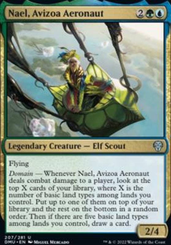 Nael, Avizoa Aeronaut