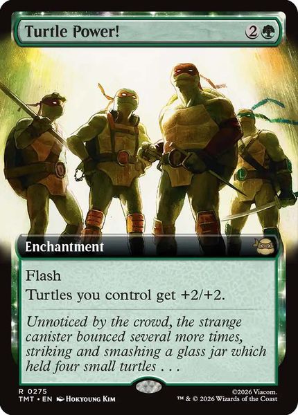 Hovedbilde Turtle Power! (Extended Art)