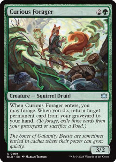 Hovedbilde Curious Forager