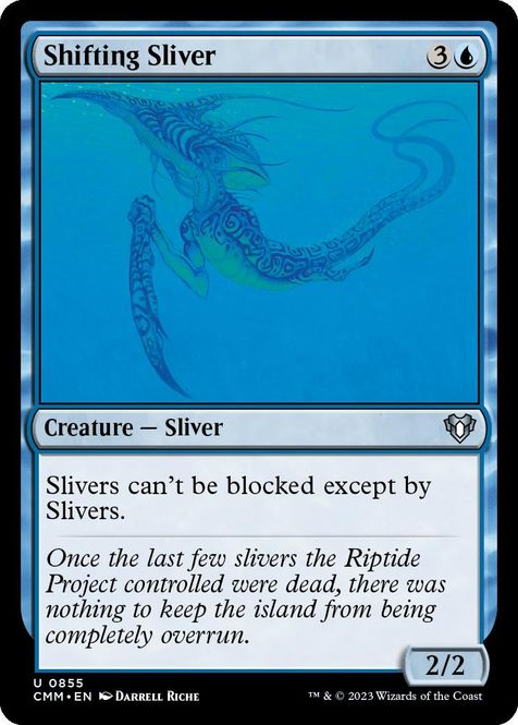 Hovedbilde Shifting Sliver