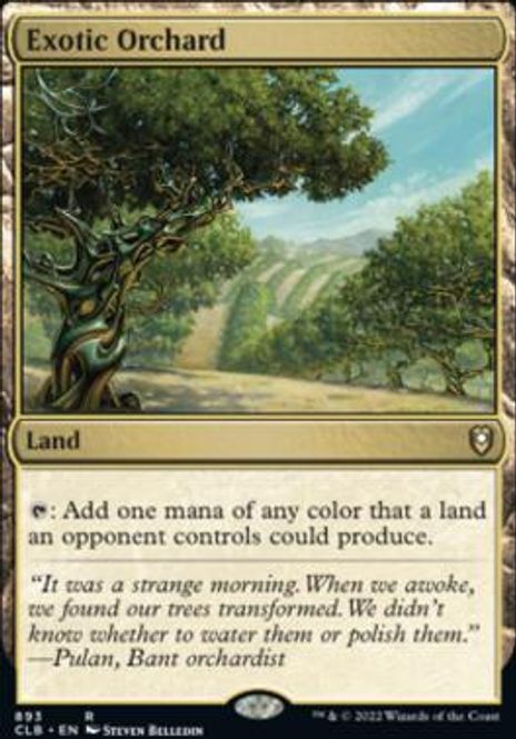 Hovedbilde Exotic Orchard